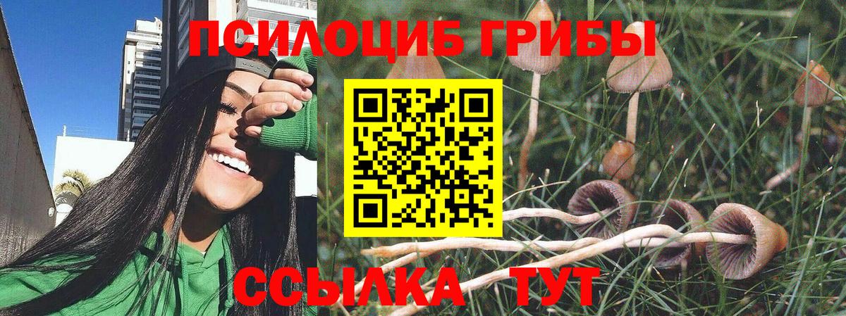 Псилоцибиновые грибы мицелий Приморско-Ахтарск